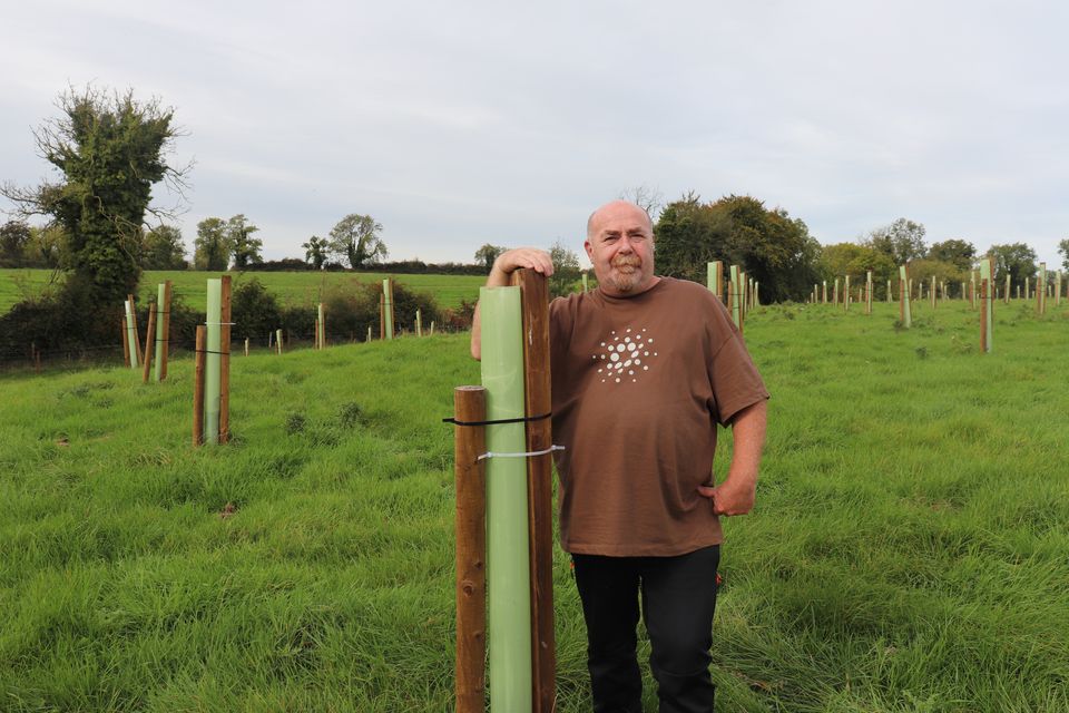 John in his new agroforestry plantation